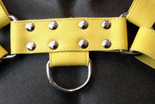 Leather Fetish Freak O.T.S. Harness, Yellow.